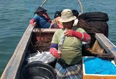 Tak Semua Nelayan di Mukomuko Terima BPJS, Segini Jumlahnya 