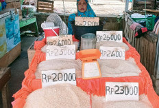 Peredaran Beras Oplosan Marak, Harga Beras Murni Kian Melonjak