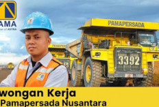 PT PAMA Buka Lowongan Kerja Untuk D3, Usia 27 Tahun Boleh Daftar, Cek Jadwal dan Syaratnya 