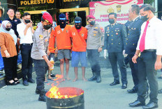 279 Gram Ganja dan Sabu Dimusnahkan Polresta Bengkulu 