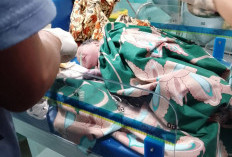 Geger, Warga Temukan Bayi Perempuan di Bawah Jembatan Padang Guci
