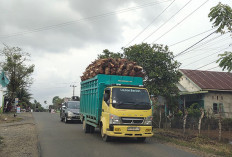 Truk ODOL Sebabkan Jalan Rusak, Ini Kata Kadis Perhubungan