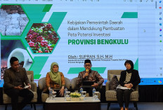 Percepat Laju Investasi Bengkulu, Dinas Penanaman Modal Lakukan Ini