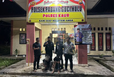 Kepergok Mencuri, 2 Warga Diamuk Massa