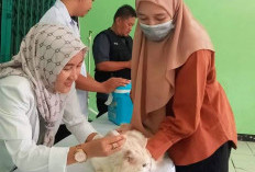 Masyarakat Antusias Vaksin Rabies Gratis, Bawa Anjing,Kucing dan Kera