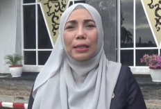 Harga Sawit di Provinsi Bengkulu Naik, Faktor Penambahan Nilai Cangkang Dalam Penghitungan Harga 