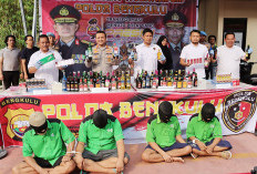 Ratusan Pelaku Kejahatan Diamankan, Hasil Operasi Pekat Nala II di Bengkulu 