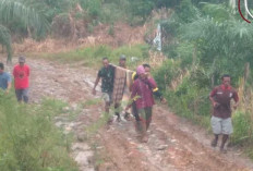 Jalan Rusak, IRT Keguguran di Kaur Terpaksa Ditandu Pakai Bambu 
