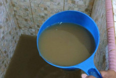 Warga Perum Surabaya Keluhkan Air PDAM Keruh