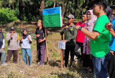 Fisik Tahap II di Desa Rawa Mulya Selesai Dibangun
