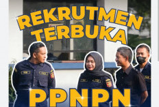 Dibuka Hingga 19 Juni, Lowongan Kerja Bea Cukai  Dibuka, SMA  Boleh Daftar 