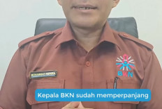 BKN Tegaskan Tidak Ada Perpanjangan, Pendaftaran PPPK Tahap 2  Ditutup Pukul 23.59 Wib 