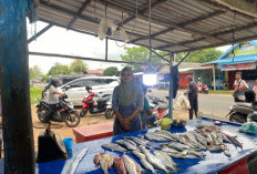 Ikan Segar Jadi Daya Tarik Pasar Ikan Kota Bengkulu