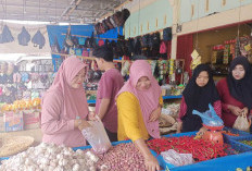 Harga Bawang Capai   Rp 40 Ribu Per Kilo