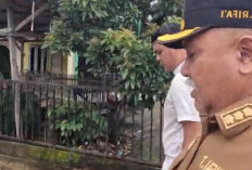 Bupati Rifai Tinjau Dampak Hujan Lebat di Bengkulu Selatan