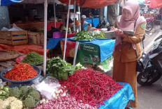 Harga Cabai Turun, Tim Disperindagrin Kota Bengkulu Pantau Harga di Pasar Tradisional Ini 