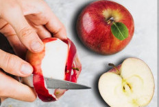 Ini Deretan Buah yang Baik Dikonsumsi Saat Perut Kosong di Pagi Hari 
