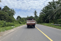 Mobil Pikap Angkut Penumpang Sangat Bahaya,  Ini Pesan Kasat Lantas Polres Seluma