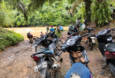 Warga Desa Simpang Hanyut Terbawa Air Bah,  Kades : Pencarian Masih Berlangsung