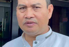 Disetujui Mendagri, Perampingan OPD Segera Masuk DPRD Provinsi Bengkulu, Jumlahnya Bakal Jadi Segini