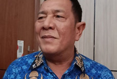  4 Ribu Honorer di Pemprov Bengkulu Resah, Penyebabnya Soal Perpanjangan SK 