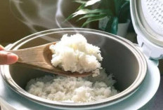 Agar Nasi Tidak Basi Dalam Rice Cooker, Begini Triknya