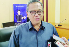 Jumlah RTUP Tanaman Pangan Menurun, Ini Penjelasan Kepala BPS Provinsi Bengkulu