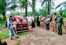 Kontrak Konstruksi Program   Cetak Sawah 80 Ha Dikerjakan 