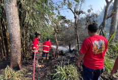 Puncak Kemarau, 7 Kebakaran Lahan Terjadi di Rejang Lebong