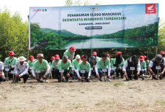 Bangun Rumah Semai Bibit Mangrove, AHM Tumbuhkan Harapan   Baru bagi Pesisir Karawang