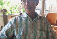 Ratusan Hektar Sawah Rusak Parah, Petani Kedurang Dirundung Sedih, Ini Penyebabnya