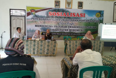 Alih Fungsi Sawah Jadi Kebun di Mukomuko Bisa Dipidana, Segini Ancaman Hukumannya