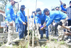  Rejang Lebong Gencarkan Gerakan Tanam Pohon, Ini Tujuannya