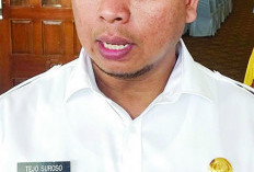 Penggusuran Kawasan SPAM Tunggu Sertifikat, Ini Keterangan Kepala Dinas PUPR Provinsi Bengkulu