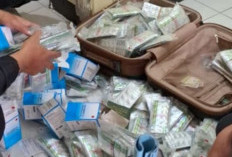 Polisi Bongkar Sindikat Obat Keras dan Narkotika, Ratusan Ribu Barang Bukti Disita, Ini Rincian dan Jenisnya 