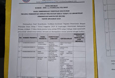  7 PPPK Siluman dari   Tenaga Pengajar Guru