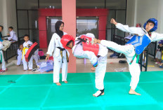  Belasan Atlet Taekwondo   Mukomuko Disiapkan Ikut Kejurnas 