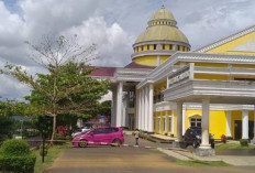 Kecelakaan Muat Liku Sembilan, 1 MD