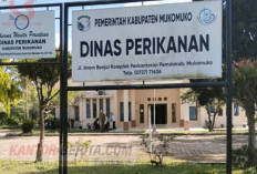 1.639 Nelayan Mukomuko Dapat Jaminan Kecelakaan Kerja dari BPJS, Premi Ditanggung Pemkab