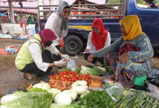 DKP Pastikan Pangan Segar Aman  Dikonsumsi