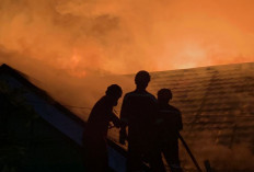 Kasus Kebakaran di Kota Bengkulu Tinggi, Didominasi Dipicu Karena Ini