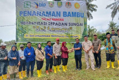  Lindungi DAS, PT Bio Tanam Segini Pohon Bambu