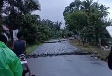 Ada Tiang Listrik di Kedurang Roboh, Sebagian Wilayah Gelap
