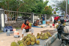 Musim Durian Tiba, Pedagang Musiman Mulai Menjamur, Segini Harganya