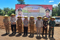  Program 1 Desa 1 Hektare  Jagung di Benteng Dimulai, Ini Targetnya