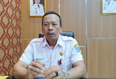  Kerusakan Irigasi di Bengkulu Utara Jadi Penyebab Produksi Gabah Petani Menurun, Segini Luasnya