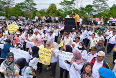 ASN Lebong Bergejolak, Gelar Aksi di Pemkab dan DPRD, Minta BPK RI Audit APBD Lebong 2024