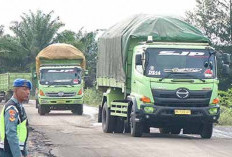 Banyak Perusahaan Gunakan Kendaraan Luar, Rugikan Daerah, Diminta Mutasi ke BD