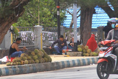 Manfaatkan Pojok Durian Kito, Ini Pernyataan Kepala Dinas Kominfo Kota Bengkulu
