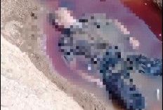 BREAKING NEWS : Heboh, Penemuan Mayat di Parit Desa Setiabudi SP4 Mukomuko